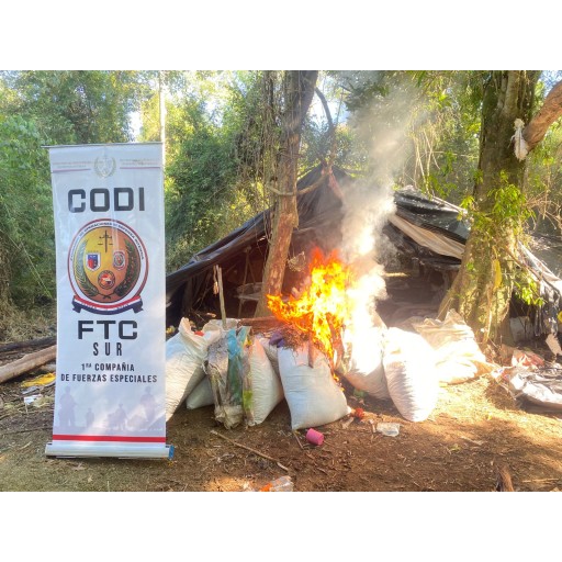 En Caazapá destruyen 110.000 kg de marihuana