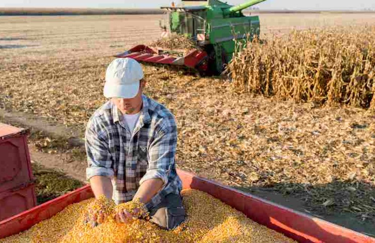 SequÃa cambio panorama esperado sobre las cosechas