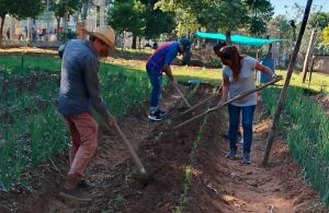 Reos villariqueños producirán hortalizas para abastecer supermercados locales